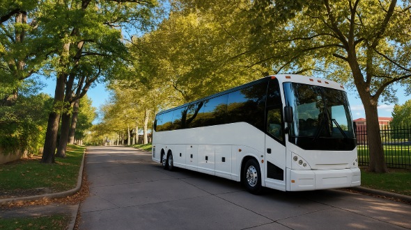 harlingen vacation bus rentals for family trips