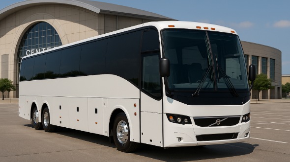 harlingen wine tour and pub crawl bus rentals