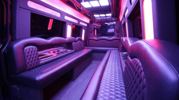 Interior of Charter Bus Company Harlingen's Sprinter Limo in Harlingen